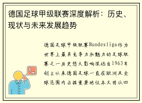 德国足球甲级联赛深度解析：历史、现状与未来发展趋势